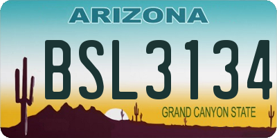 AZ license plate BSL3134