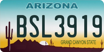 AZ license plate BSL3919