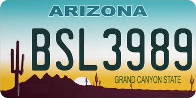 AZ license plate BSL3989