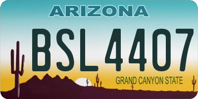 AZ license plate BSL4407