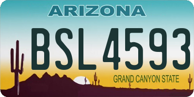 AZ license plate BSL4593