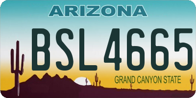 AZ license plate BSL4665