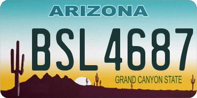 AZ license plate BSL4687