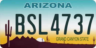 AZ license plate BSL4737