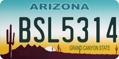 AZ license plate BSL5314