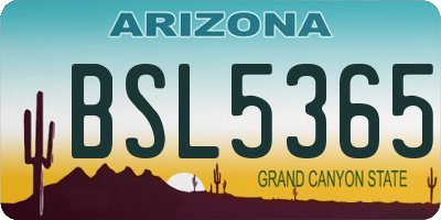 AZ license plate BSL5365