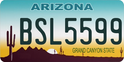 AZ license plate BSL5599