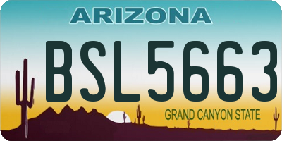 AZ license plate BSL5663