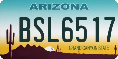 AZ license plate BSL6517