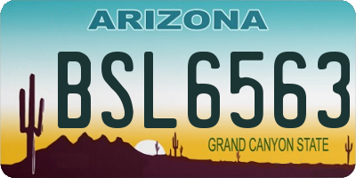 AZ license plate BSL6563