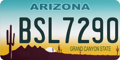 AZ license plate BSL7290