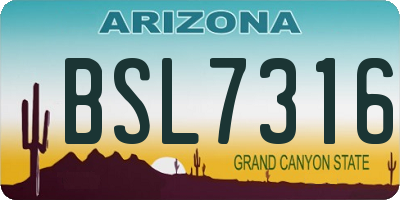 AZ license plate BSL7316
