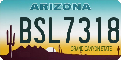 AZ license plate BSL7318