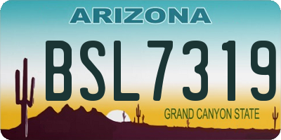 AZ license plate BSL7319