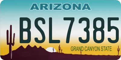 AZ license plate BSL7385
