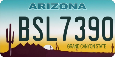 AZ license plate BSL7390