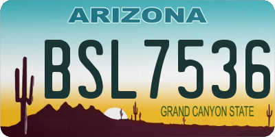 AZ license plate BSL7536