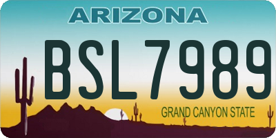 AZ license plate BSL7989