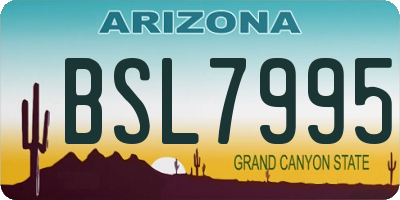 AZ license plate BSL7995