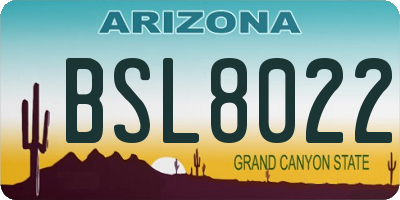 AZ license plate BSL8022