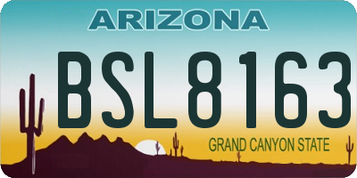 AZ license plate BSL8163