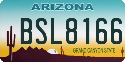 AZ license plate BSL8166
