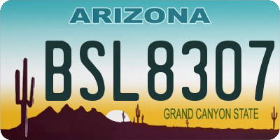 AZ license plate BSL8307