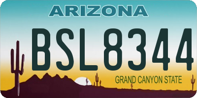 AZ license plate BSL8344