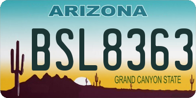AZ license plate BSL8363