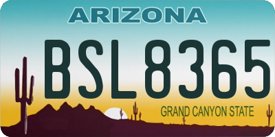 AZ license plate BSL8365