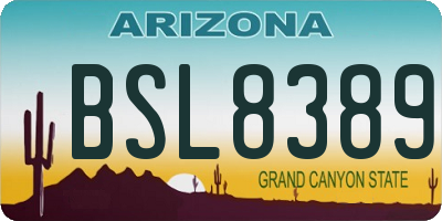 AZ license plate BSL8389