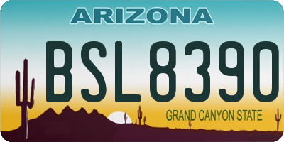 AZ license plate BSL8390
