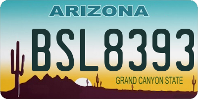 AZ license plate BSL8393