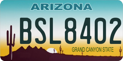 AZ license plate BSL8402