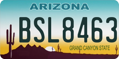 AZ license plate BSL8463