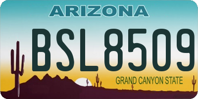 AZ license plate BSL8509