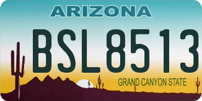 AZ license plate BSL8513