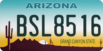 AZ license plate BSL8516