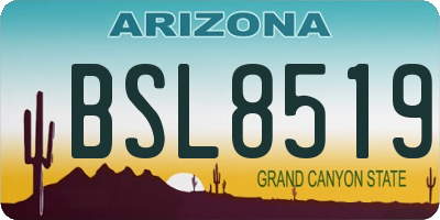 AZ license plate BSL8519