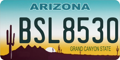 AZ license plate BSL8530