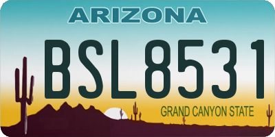 AZ license plate BSL8531