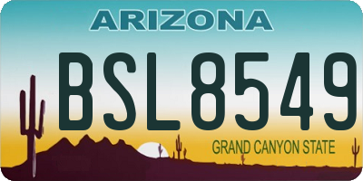 AZ license plate BSL8549