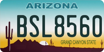 AZ license plate BSL8560