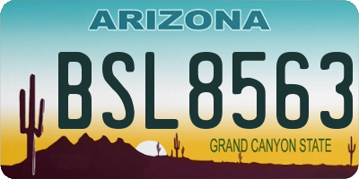 AZ license plate BSL8563