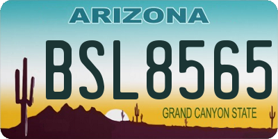 AZ license plate BSL8565