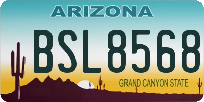 AZ license plate BSL8568