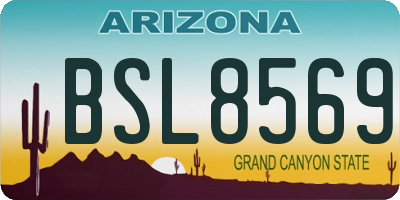 AZ license plate BSL8569