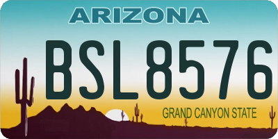 AZ license plate BSL8576
