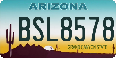 AZ license plate BSL8578