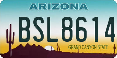 AZ license plate BSL8614